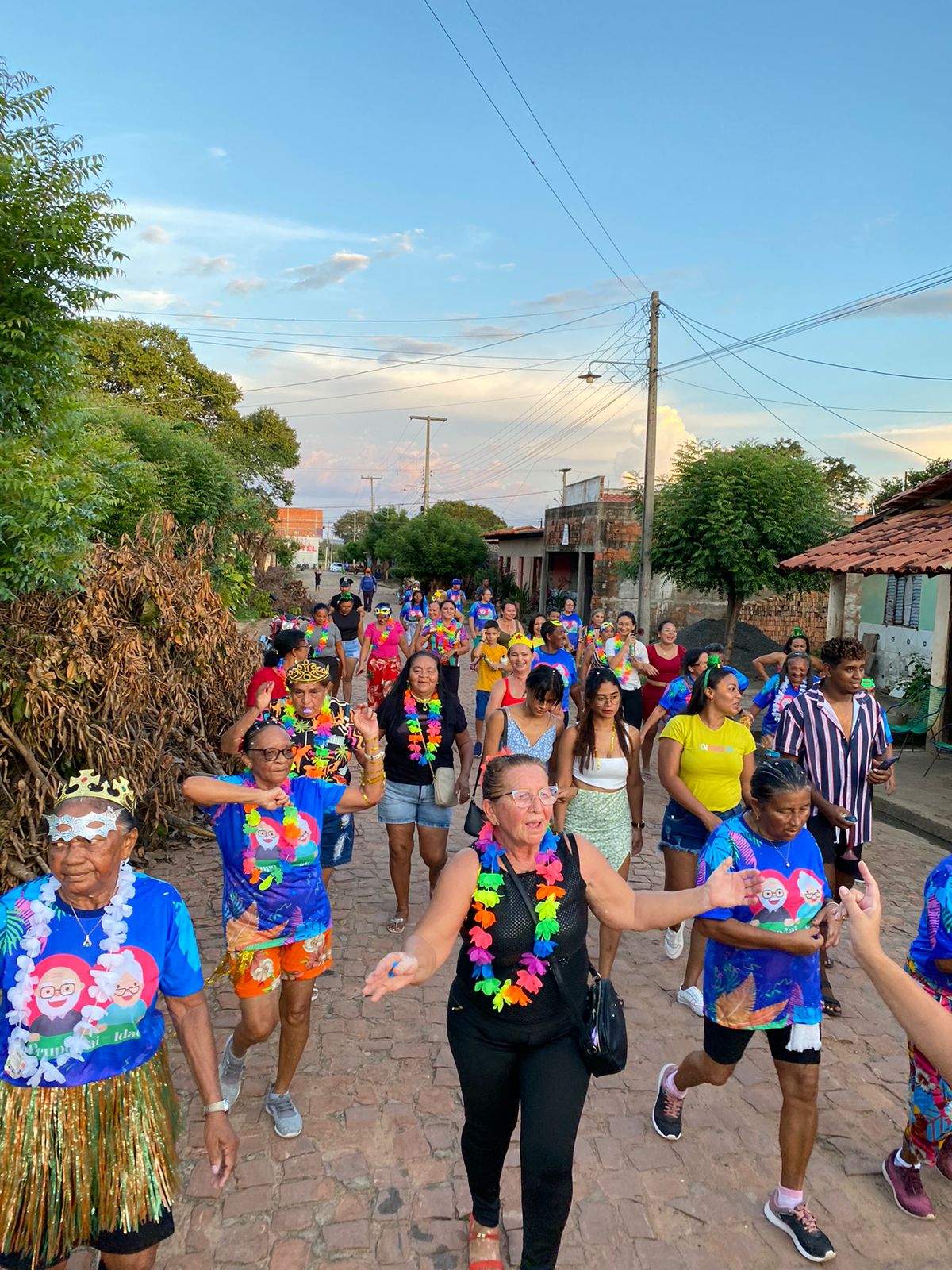 Prefeitura De Passagem Franca Promove Carnaval Da Melhor Idade Para Idosos